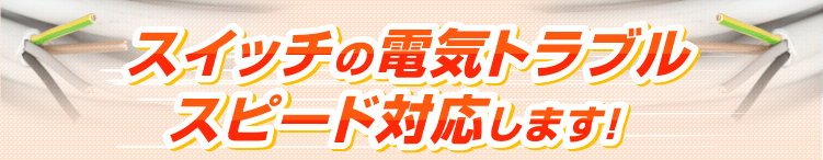 スイッチの電気トラブル スピード解決します!