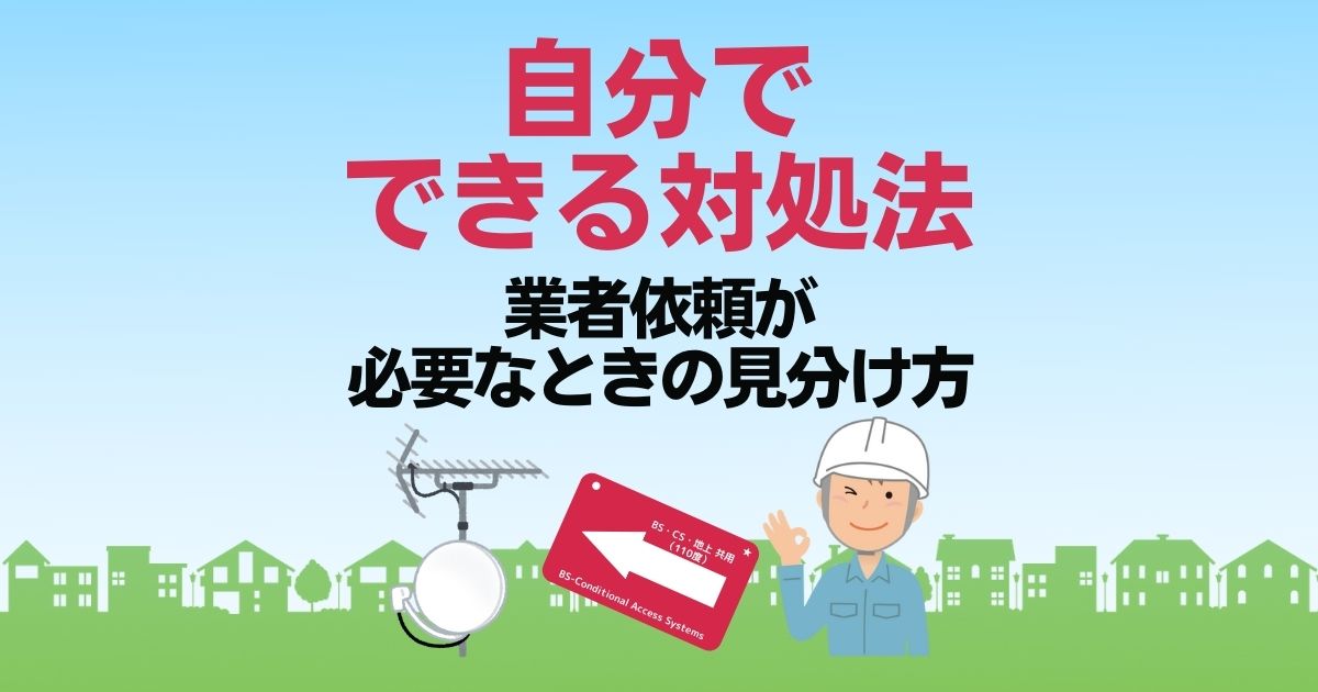 自分でできる対処法 業者依頼が必要なときの見分け方