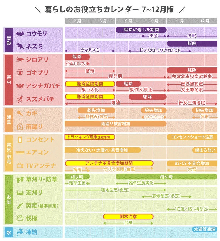 年表
